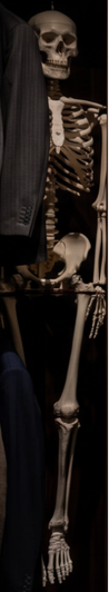 Skeleton